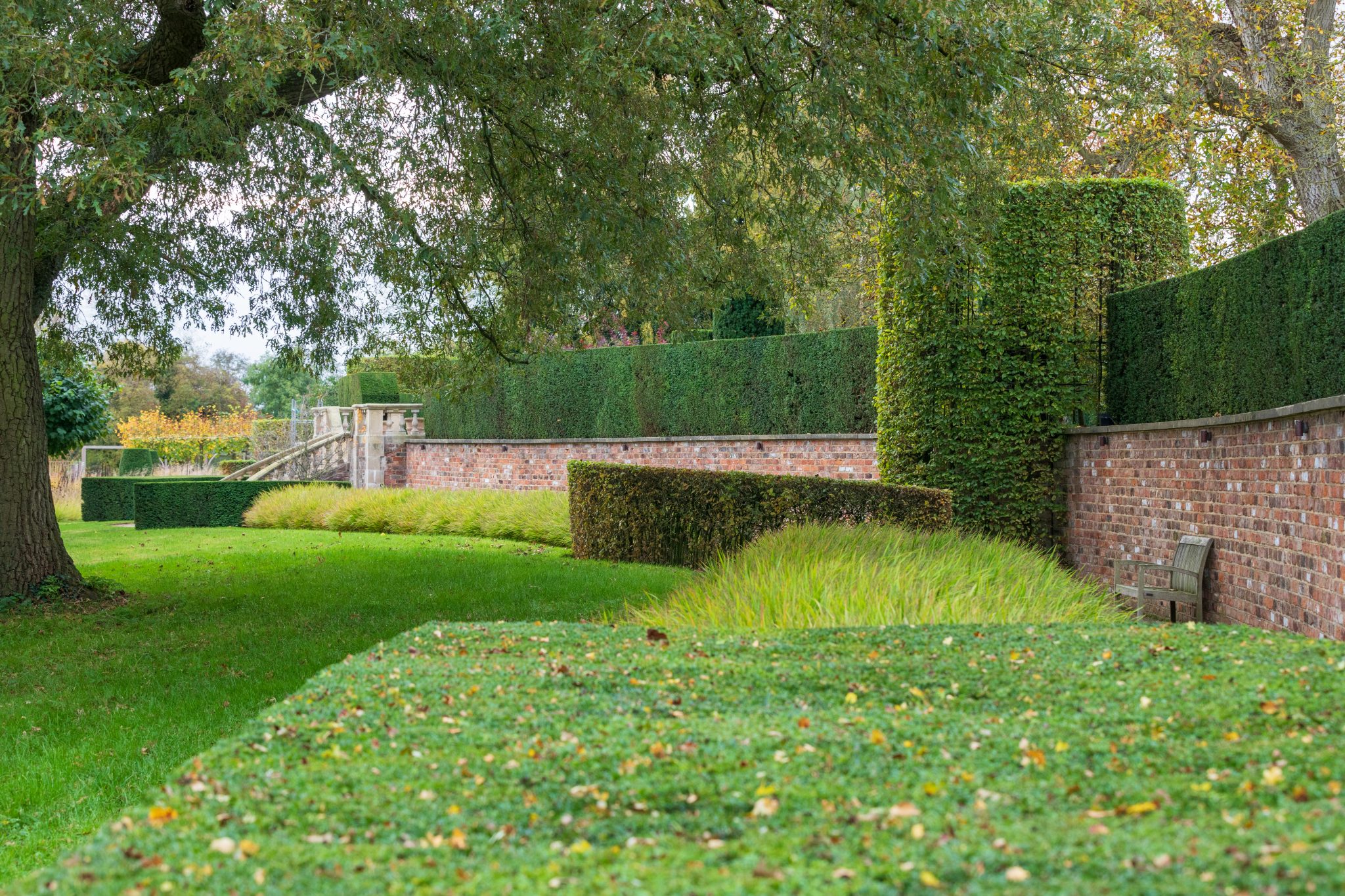 Lime Avenue and Retaining Wall Littlethorpe Manor